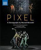Pixel / Mohamed Athamna, réal. | Athamna, Mohamed. Metteur en scène ou réalisateur