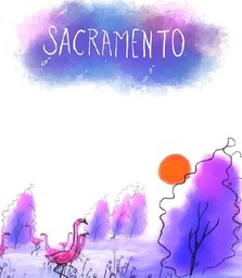 Sacramento-PC : Jeu vidéo en ligne = PC | 